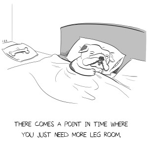 bogielegroom