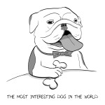 interestingbogie2-2