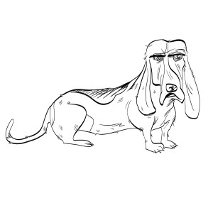 mortydog-2