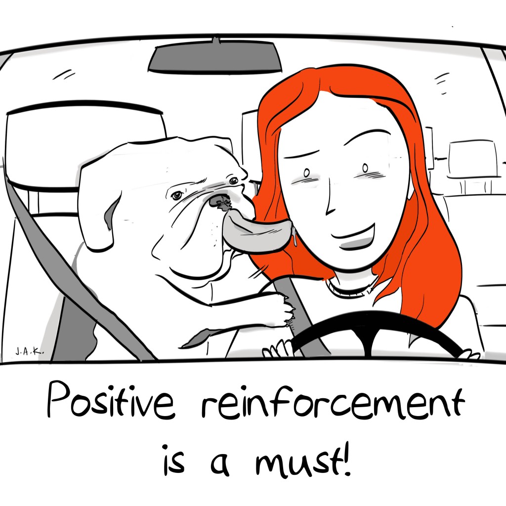 positivereinforcement