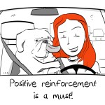 positivereinforcement