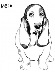 Pup_vern
