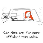 bogiecarride