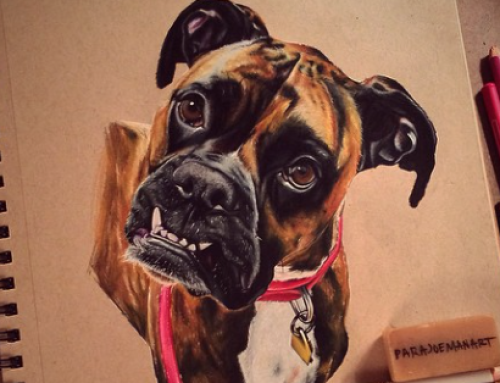 #drawmydogjoe