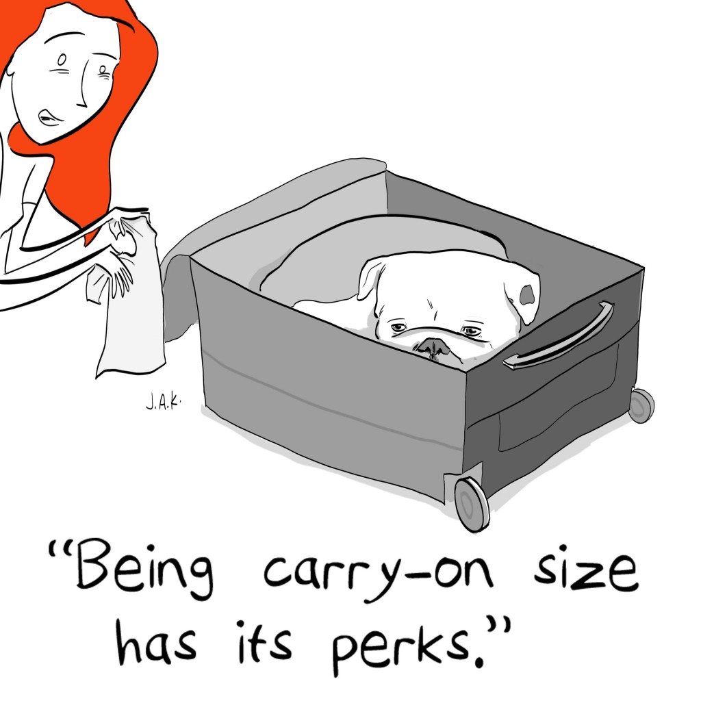 bogie_suitcase
