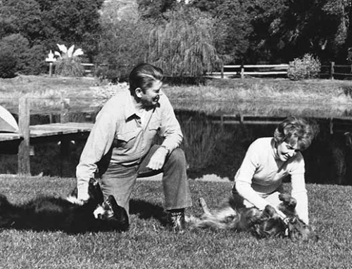 US Presidents and Their Dogs