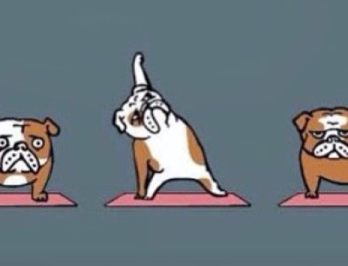Doga Every Damn Day