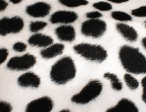 Seeing Spots