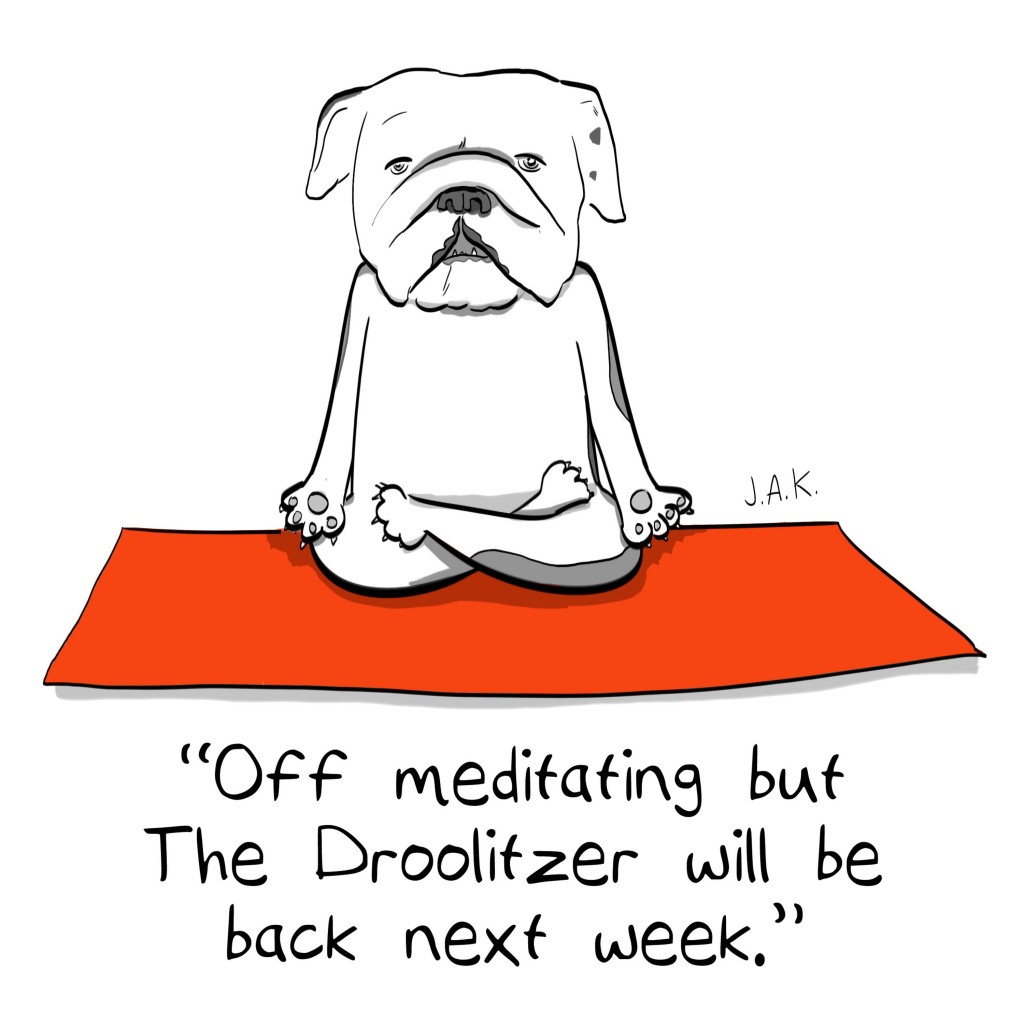 bogie_meditation