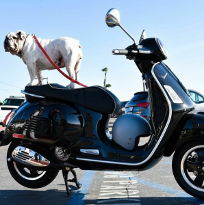 Screen Shot 2015-08-04 at 10.15.09 PM