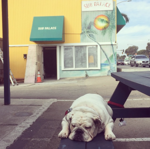 Screen Shot 2015-08-04 at 10.15.26 PM