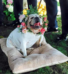 Screen Shot 2015-08-04 at 6.22.42 PM