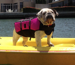 Screen Shot 2015-08-05 at 6.05.09 AM