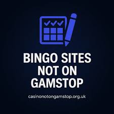 Exploring Bingo Sites That Don't Use GamStop -726800387